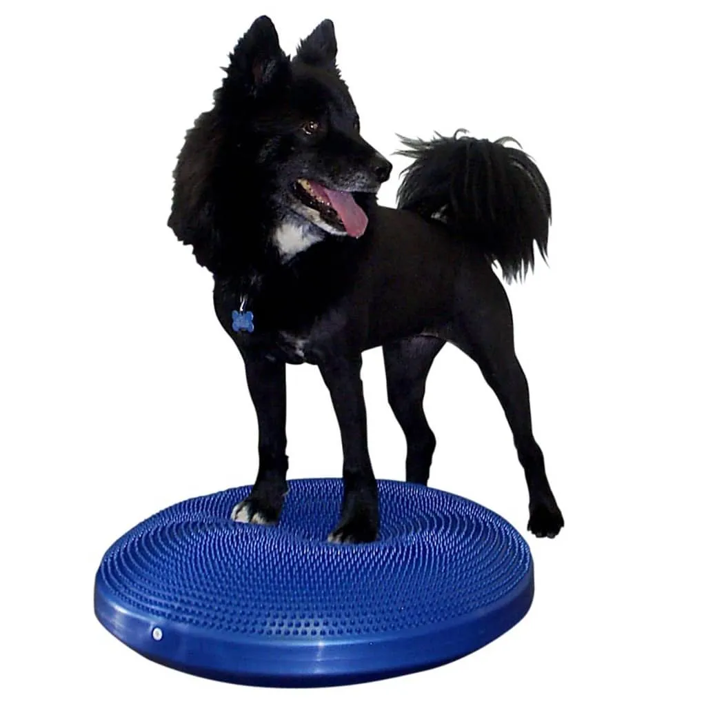 FitPAWS Disc de echilibru pentru animale de companie, albastru, 56 cm - imagine 3